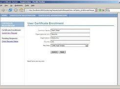 The form for browser-generated certificate requests