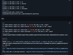 Offensive Reverse Shell Screenshot 1
