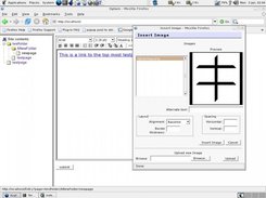 Inserting an image