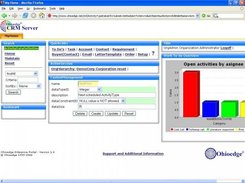 Custom fields definition