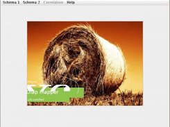 Starting of application with splash screen
