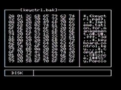 MSXDUMP editor screen