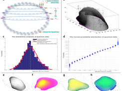 OME-3DR:Verification