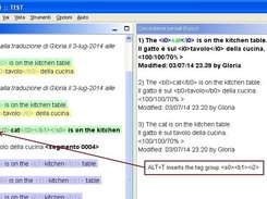 Behaviour in OmegaT - Tag group insertion