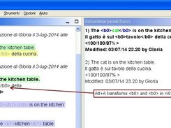 Behaviour in OmegaT - Tag adaptation