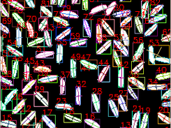 Region label using the region library under OMV. OpenCV 2.4 is required.