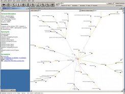 Protein annotated to the Gene Ontology