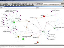 Cellulose biosynthesis pathway and gene expression data