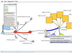 Ondex Web Screenshot 1