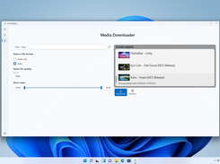 Downloader