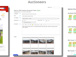 Online Auction Solutions Screenshot 1