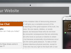 Online Live Chat Screenshot 1