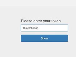 Web interface