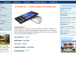 Online Auction System - Auction Item page