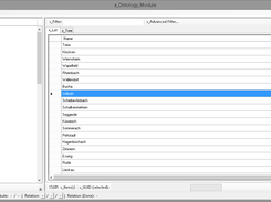 Hier ist das Ontology-Module zu sehen. Mit ihm können die ontologischen Strukturen erstellt werden.
