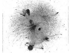 Mein privater ontologischer Graph (Die dunklen Stellen nenne ich Smartspots, weil sie Knoten darstellen, die stärker vernetzt sind als andere und deshalb von größerer Bedeutung für den ontologische Graphen)