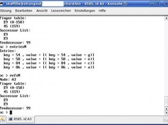 Running a single peer connected to a remote network.