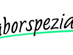 Open-Dent Screenshot 1