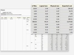 Total file space - Identify bottlenecks by visualizing capacity in one report.
