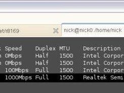 Output from esxcfg-nics showing r8169 driver in use.