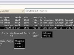 Output from esxcfg-vswitch and esxcfg-nics showing r8169 use