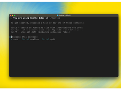 OpenAI Codex CLI Screenshot 1