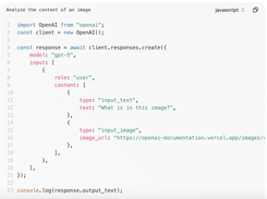 OpenAI Quickstart Python Screenshot 1
