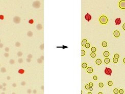 Excluding object by colour