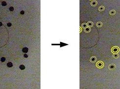 Counting seed (noisy image)
