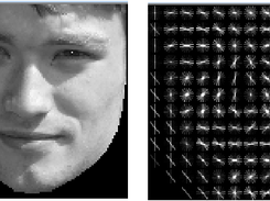 Facial Feature Extraction