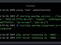 OpenFGA Screenshot 1