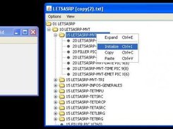 Available actions on elements of a copybook