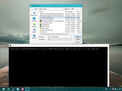 Running on Windows