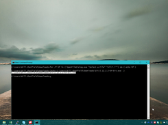 Running on Windows: Selected file printed to console