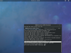 Running on Linux: Selected file printed to standard output