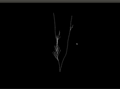 Early version of OpenGROW, midway through tree generation.