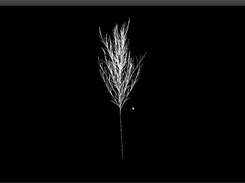 Added a minimum height parameter for branch splitting, and a parameter to control whether branches grow up or down (geotropism)