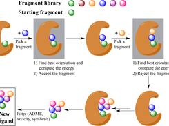 OpenGrowth algorithm