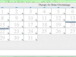 Therapy Chart