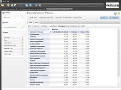 Detailed OLAP Report Table View