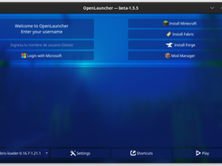 Main interface