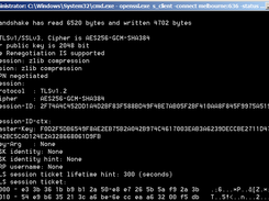 OpenSSL Connection