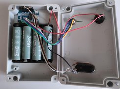 Inside the box