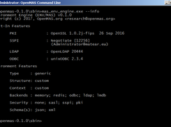 Environment Built-In Services