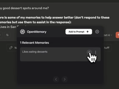 OpenMemory Screenshot 1