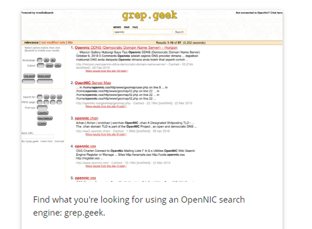 OpenNIC Screenshot 1