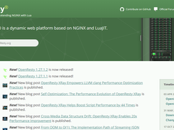 OpenResty Screenshot 1