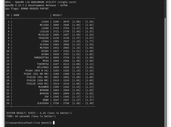 Running the benchmark utility on Fedora 32.