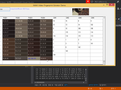 Extracting Video Fingerprint 2