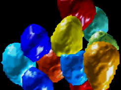 OpenSegSPIM Screenshot 1
